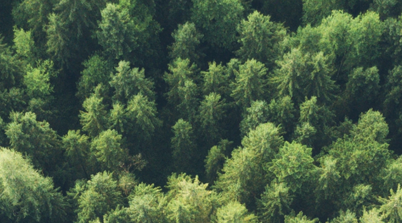 ISO 14001:2015 Environmental Management Requirements & Implementation | 27-30 May 2025 (AW) ID80100